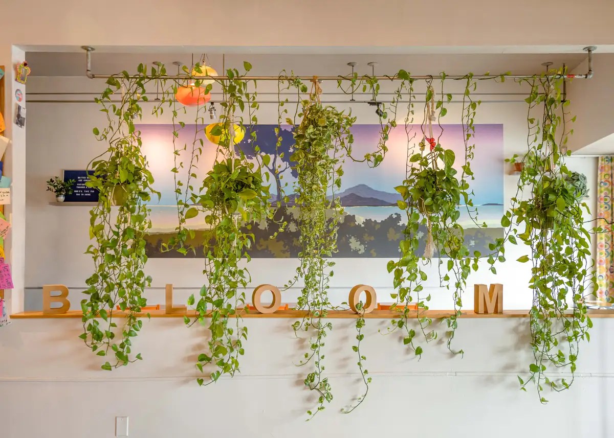 Bloom Cafe: A Haven For Food, Community, And Serenity