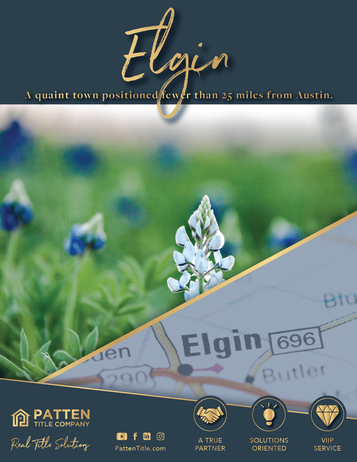 Everything You Need To Know About Elgin DMV Services And Processes