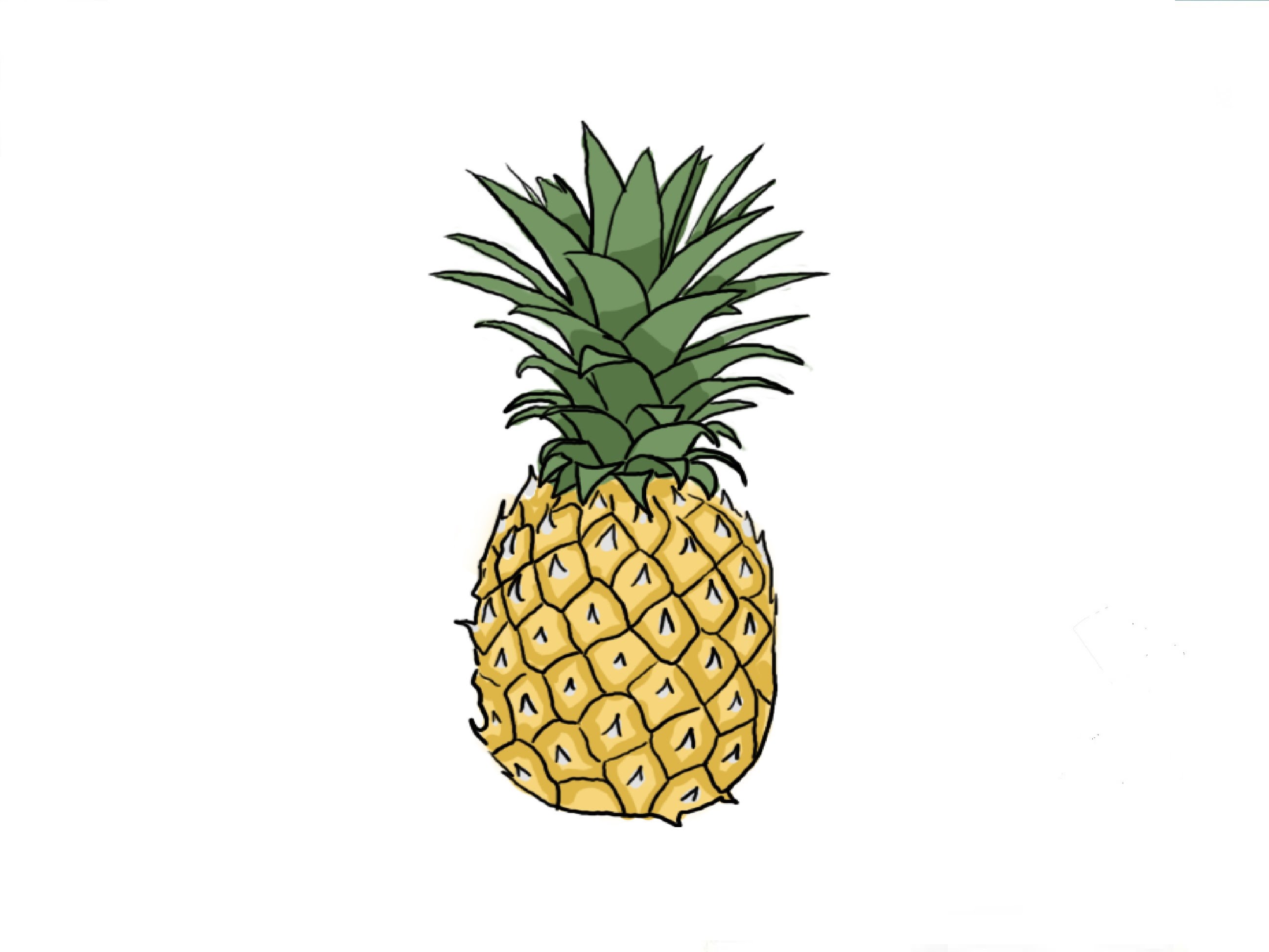 Pineapple Drawing at GetDrawings Free download