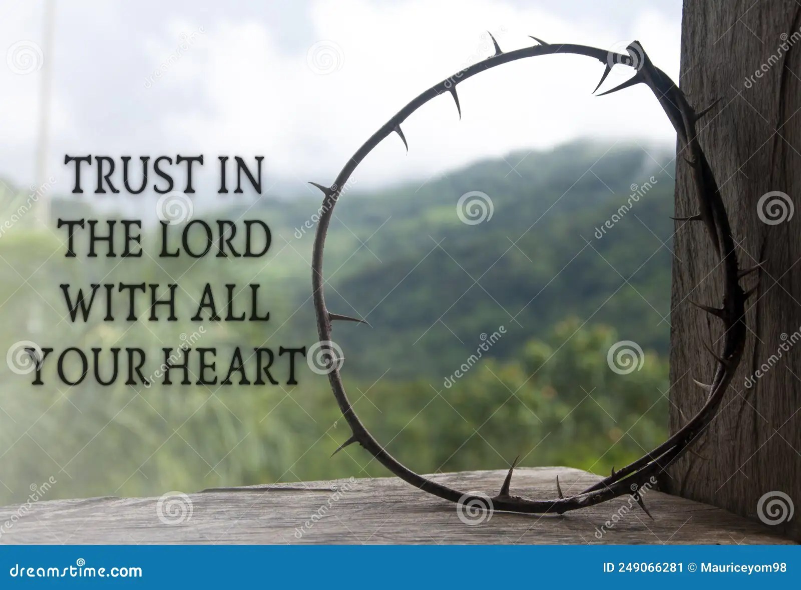 Trust In The Lord With All Your Heart: A Guide To Faithful Living